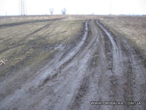 дорога к Десне