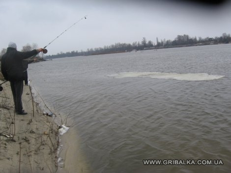 рыбалка на десне