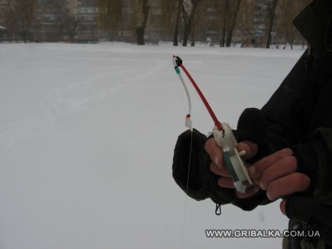 IMG_2249.JPG