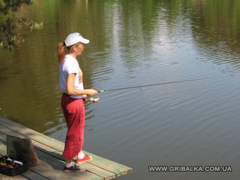 gribalka.com.ua �� �������������