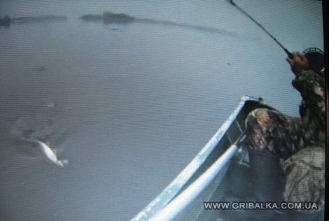 ����� �� �������� � �����