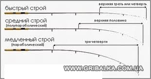 строй спиннинга