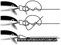 Rapala2.gif