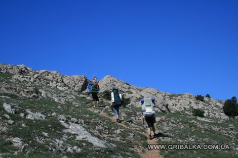 IMG_0731.JPG