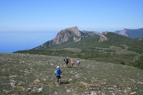 IMG_0737.JPG