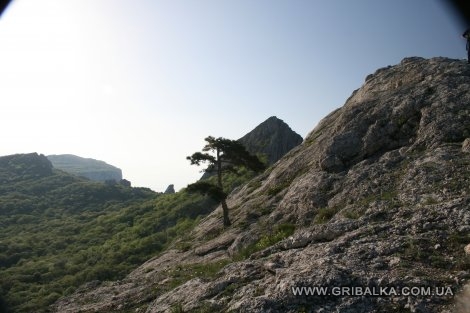 IMG_0782.JPG