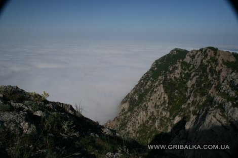 IMG_0997.JPG
