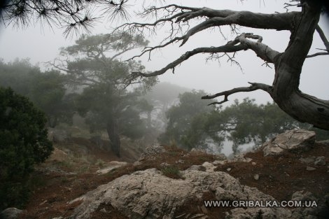 IMG_1124.JPG