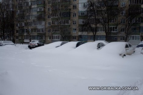 IMG_9556.jpg