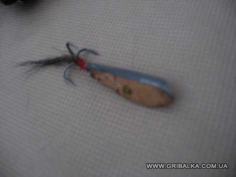 IMG_1764.JPG