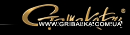 header_logo.gif